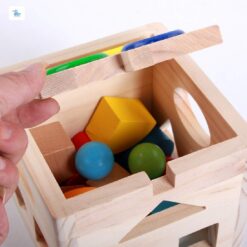 Cub Educativ Montessori cu 12 forme geometrice din lemn, 3 ani 001