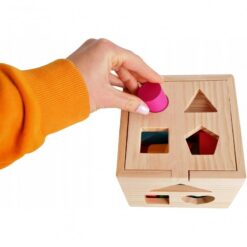 Cub Sortator De Forme Din Lemn
