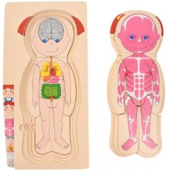 Corp Uman Puzzle - Fata