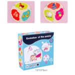 Set 12 Puzzle-uri de asociere cu 3 piese din lemn, Evolutie, 3 ani
