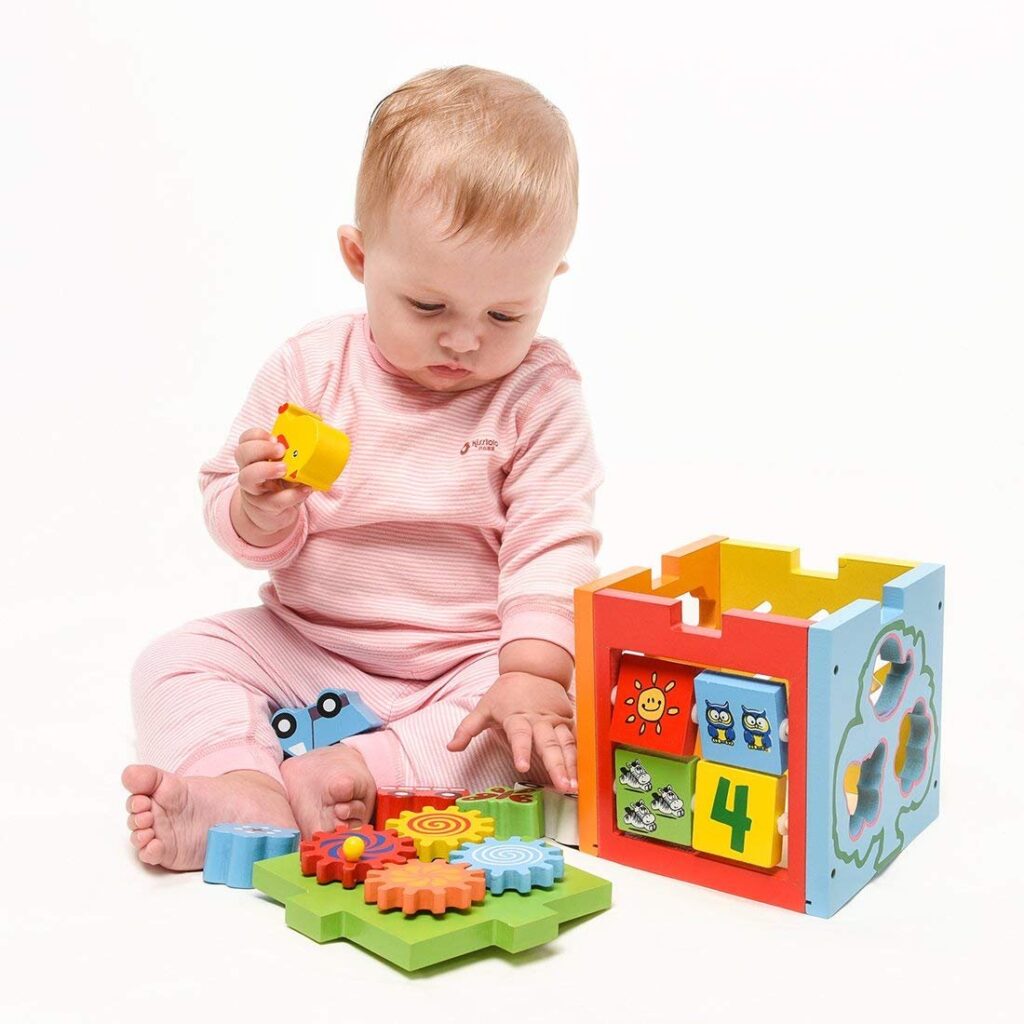 Cub educativ de tip Montessori cu 5 activitati