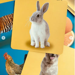 Set 20 carduri stimulare vizuala bebe, cartonase cu imagini reale, 12-36 de luni