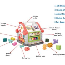 Jucarie educativa bebelusi-Centru cu 5 activitati Hola, 18 luni+