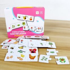 Set 20 Puzzle-uri de asociere cu 3 piese din lemn - Evolutie, 60 piese