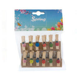 Set pentru activitati lucru manual si crafts, 12Clesti buburuza