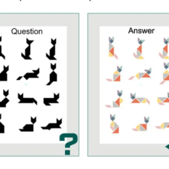 Carte magnetica tip tangram cu 7 piese, 96 modele, 3 ani