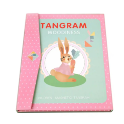 Carte magnetica tip tangram cu 7 piese, 96 modele, 3 ani