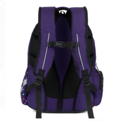 Ghiozdan scolar fete cu 3 compartimente, Rucsac Fluture