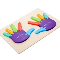 Puzzle de tip Montessori, Mana drepta si stanga