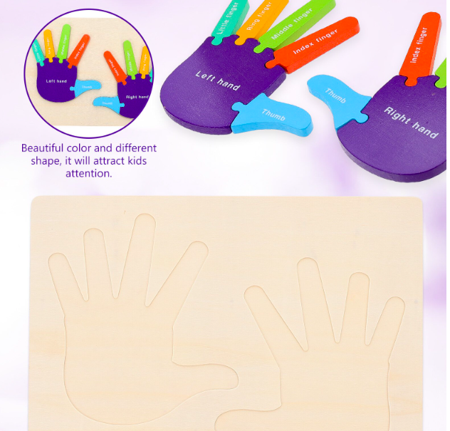 Puzzle de tip Montessori, Mana drepta si stanga