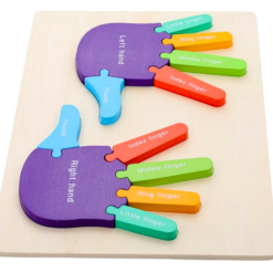Puzzle de tip Montessori, Mana drepta si stanga