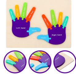 Puzzle de tip Montessori, Mana drepta si stanga