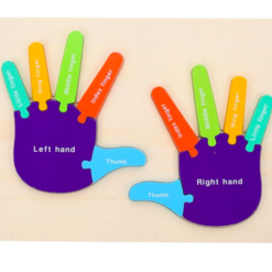 Puzzle de tip Montessori, Mana drepta si stanga