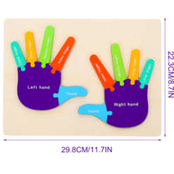 Puzzle de tip Montessori, Mana drepta si stanga