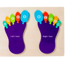 Puzzle de tip Montessori, Piciorul drept si stang