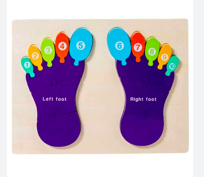 Puzzle de tip Montessori, Piciorul drept si stang