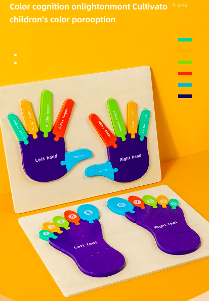 Puzzle de tip Montessori, Piciorul drept si stang