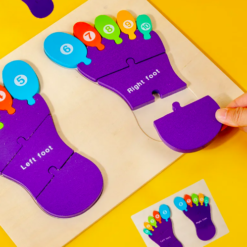 Puzzle de tip Montessori, Piciorul drept si stang