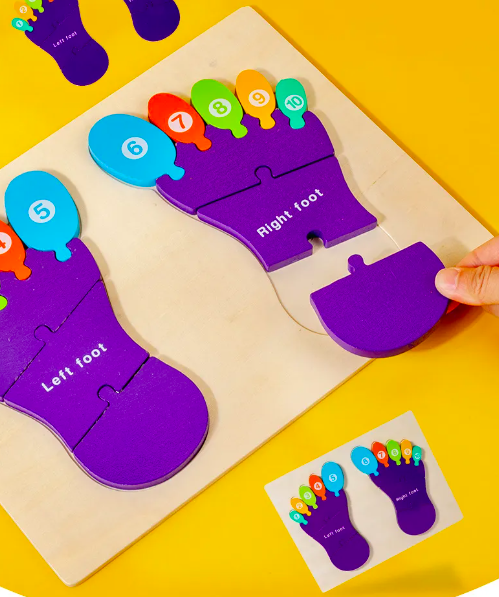 Puzzle de tip Montessori, Piciorul drept si stang