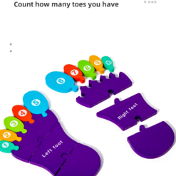 Puzzle de tip Montessori, Piciorul drept si stang