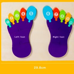 Puzzle de tip Montessori, Piciorul drept si stang