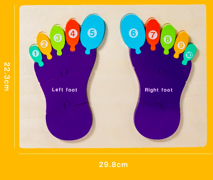 Puzzle de tip Montessori, Piciorul drept si stang