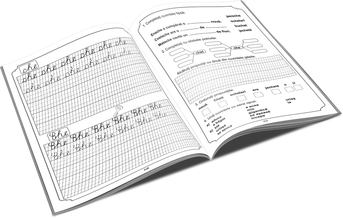 Caiet descriere limba romana, Clasa I, Literele, Tip I