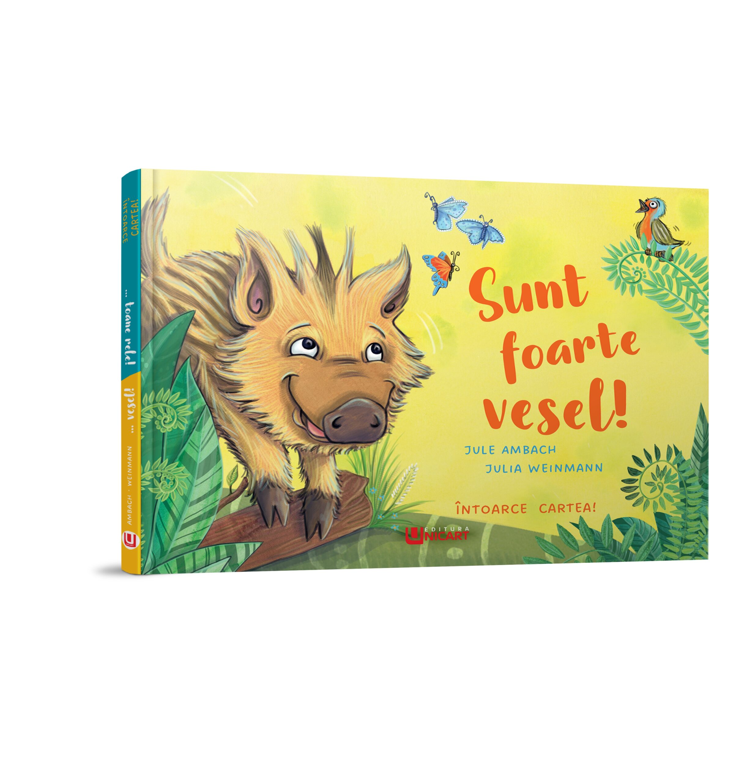 Carte copii emotii, Sunt foarte vesel/Sunt in toane rele