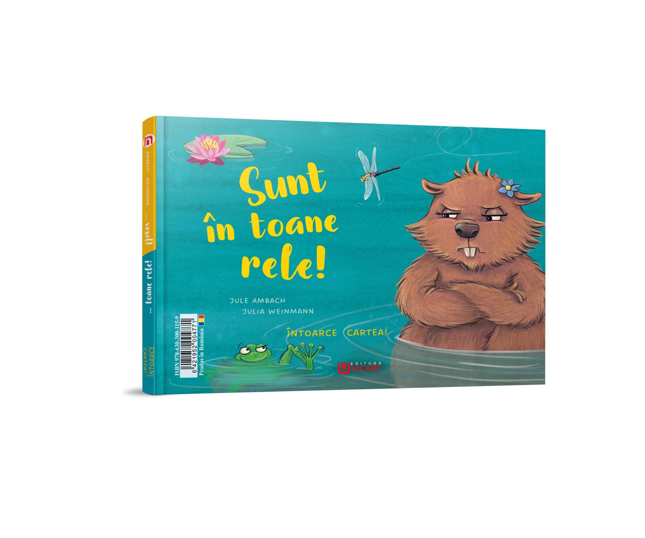 Carte copii emotii, Sunt foarte vesel/Sunt in toane rele