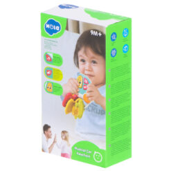 Jucarie dentitie - jucarie cu sunete si lumini, 9 luni+, Hola