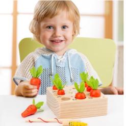 Joc de tip Montessori, Morcovi, 3 ani 02