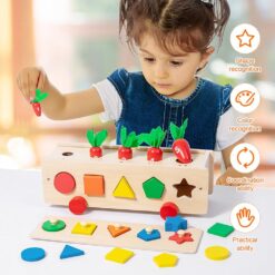 Joc de tip Montessori pentru prescolari, asociere si sortare, 3 ani