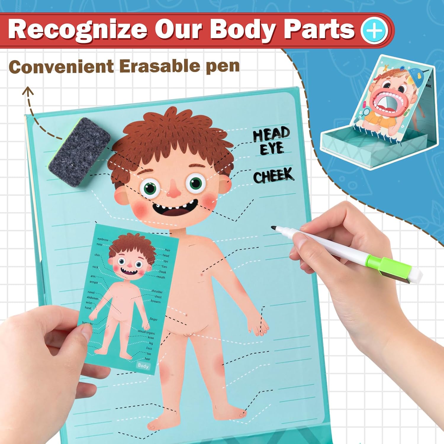 Jucarie educativa - Set Doctor dentist, 3 ani 01