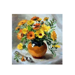 Set creativ, Pictura pe numere, 3 ani+