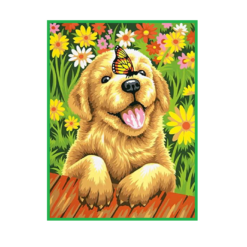 Set creativ, Pictura pe numere, 3 ani+