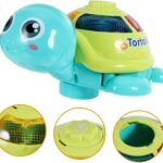 Testoasa muzicala - Jucarie distractiva bebe