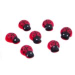 Set Creatie Paste, Set 50  Buburuze 1.5cm