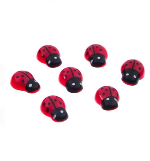 Set Creatie Paste, Set 50 Buburuze 1.5cm