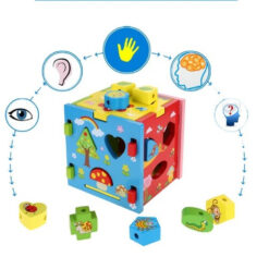 Cub sortator de forme geometrice si joc de snuruit, 3 ani 01