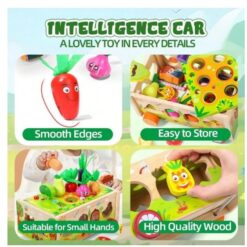 Joc multifunctional, jucarie de tras, sortator de forme, joc magnetic 3 ani+