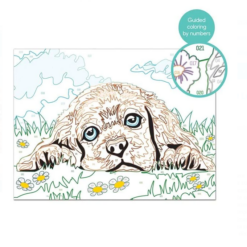 Set creativ, Pictura pe numere, Catelus, 9 ani+