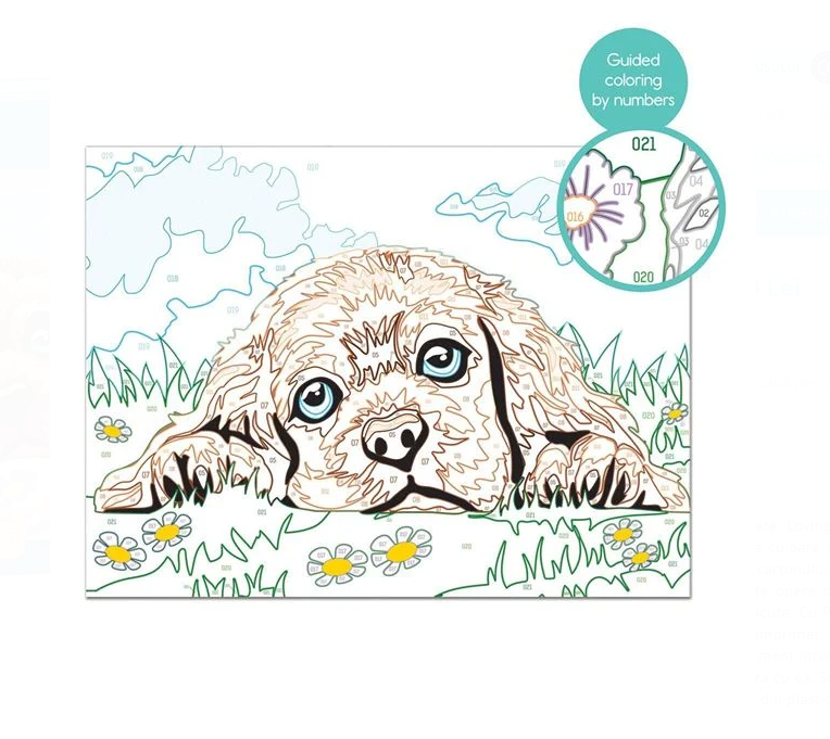 Set creativ, Pictura pe numere, Catelus, 9 ani+