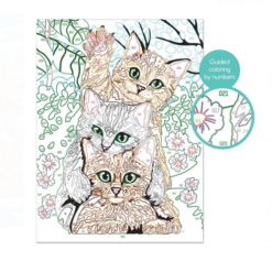 Set creativ, Pictura pe numere, Pisicute, 9 ani+