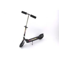 Trotineta Metalica, 5 ani+ 01