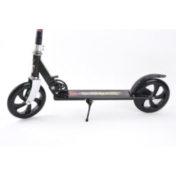 Trotineta Metalica, 5 ani+ 01