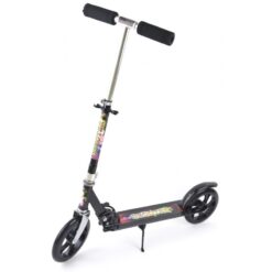 Trotineta Metalica, 5 ani+ 01