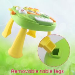 Masuta pentru Activitati Bebelusi 17 in 1, 12 luni+ 02