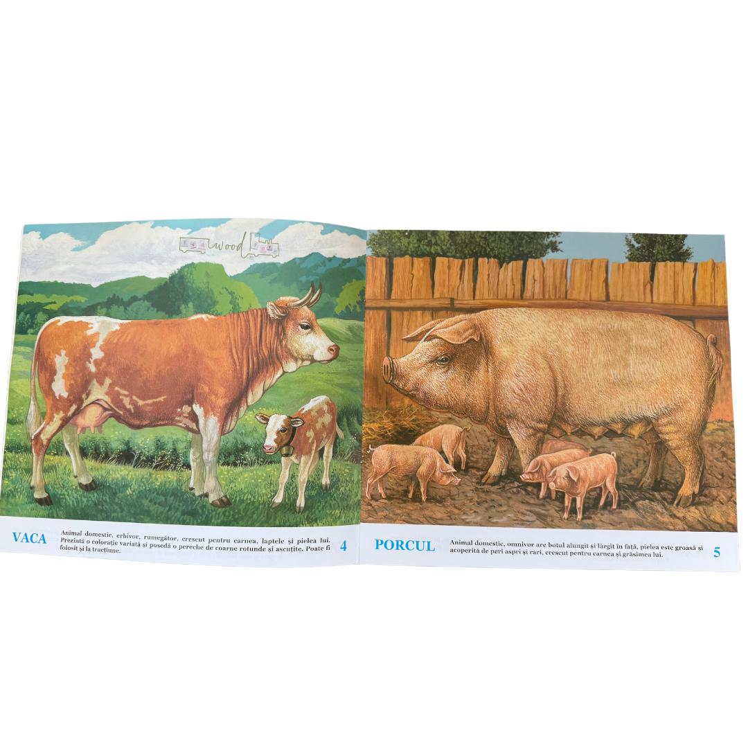 Mica enciclopedie ilustrata- Animale domestice 01