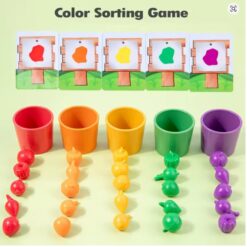 Joc de tip Montessori, Gradina mea de fructe si legume, 3 ani 01