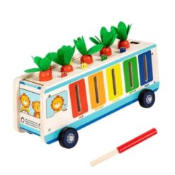 Joc multifunctional de tip Montessori, 5 in 1, 3 ani 01